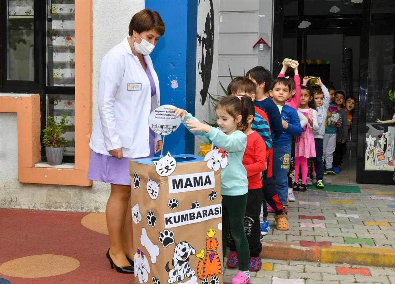 Harçlıkları İle Sokak Hayvanlarına Mama Aldılar!